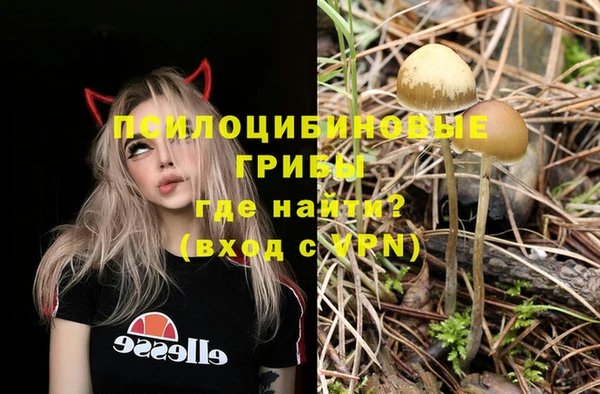 гидропоника Абинск