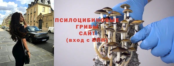 круглые Алзамай