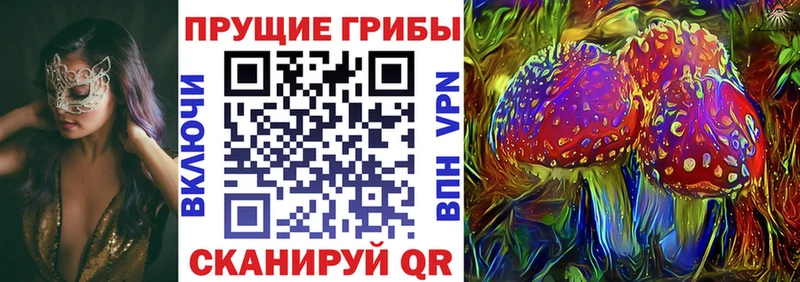 Псилоцибиновые грибы прущие грибы  цены наркотик  Тында 