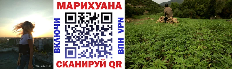наркота  Тында  мориарти телеграм  Каннабис сатива 